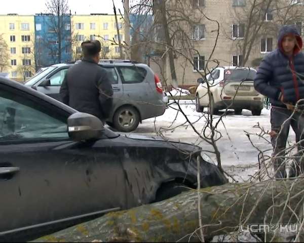 Новости из ряжска
