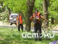 АТК теперь принялось штрафовать не за мусор, а за не скошенную траву АТК теперь принялось штрафовать не за мусор, а за не скошенную траву