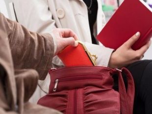 27-летняя девушка украла кошелек у жительницы поселка Знаменка 