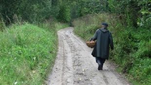 Заблудившийся в лесу орловский грибник дошел до Калужской области