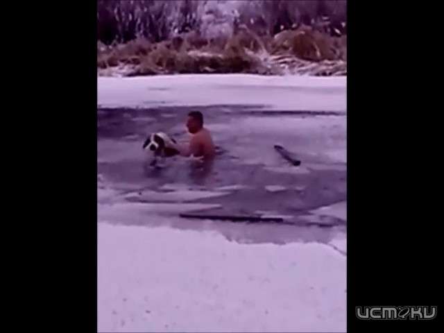 Житель Свердловского района вытащил собаку из ледяной воды Житель Свердловского района вытащил собаку из ледяной воды