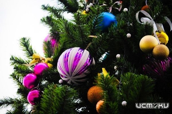 Праздник к нам приходит... Какие Рождественские и новогодние мероприятия ждут орловчан? Праздник к нам приходит... Какие Рождественские и новогодние мероприятия ждут орловчан?