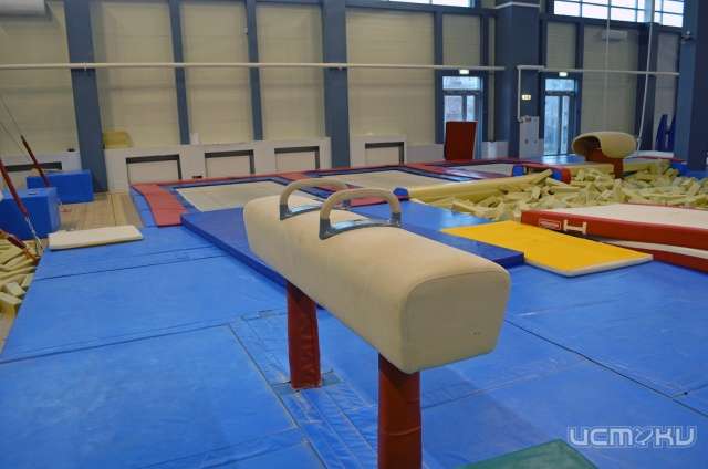 В Орле в спортивной школе откроют гимнастический зал В Орле в спортивной школе откроют гимнастический зал