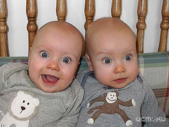 Это ты? А, может, я? Просто копия моя! Это ты? А, может, я? Просто копия моя!