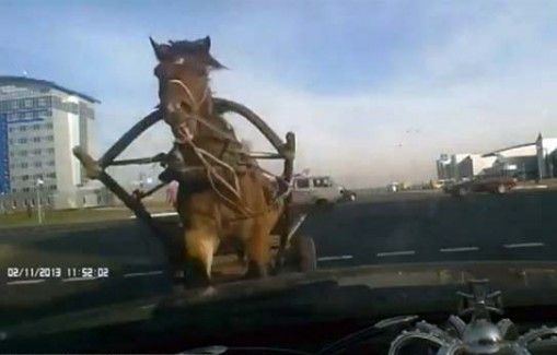 Купить регистратор для авто. Муки выбора Купить регистратор для авто. Муки выбора