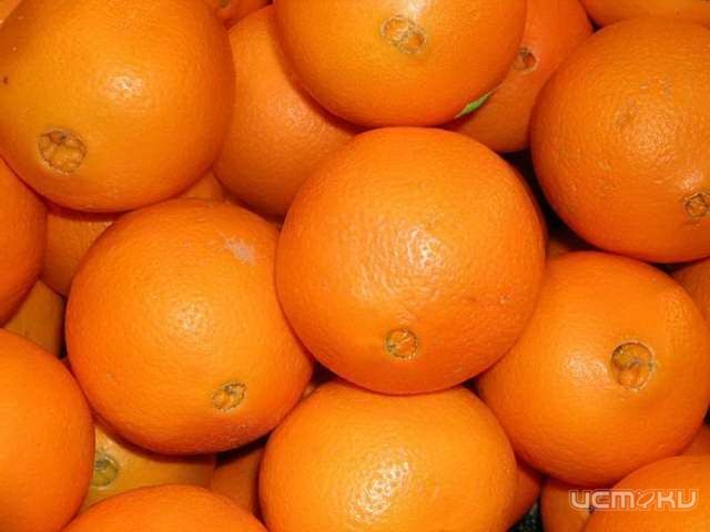 Фрукты с насекомыми Фрукты с насекомыми