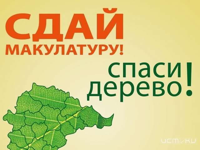 В Орле пройдет экомарафон «Сдай макулатуру — спаси дерево» В Орле пройдет экомарафон «Сдай макулатуру — спаси дерево»