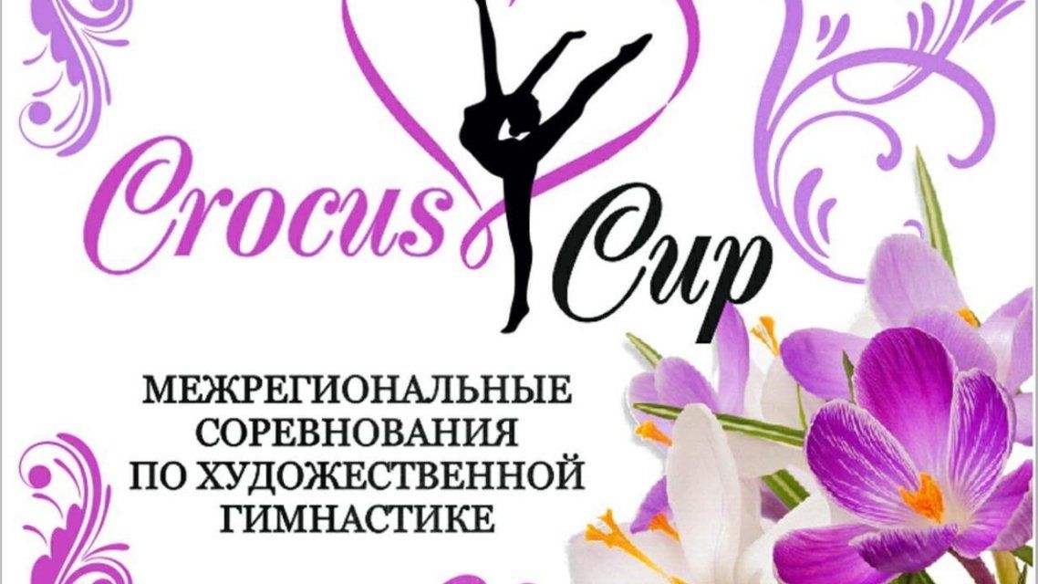 В Орле завершился турнир по художественной гимнастике Crocus cup