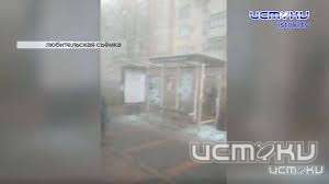 Орловские полицейские нашли вандала, который разгромил остановку на ул. Брестской Орловские полицейские нашли вандала, который разгромил остановку на ул. Брестской