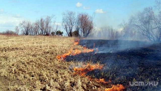 За поджог сухой травы орловчанам грозит штраф За поджог сухой травы орловчанам грозит штраф