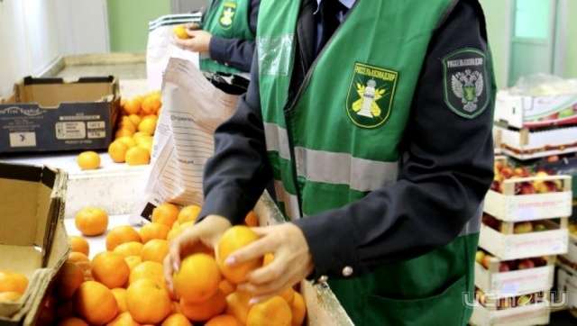 Россельхознадзор не пропустил на Орловщину 14 партий карантинной продукции Россельхознадзор не пропустил на Орловщину 14 партий карантинной продукции
