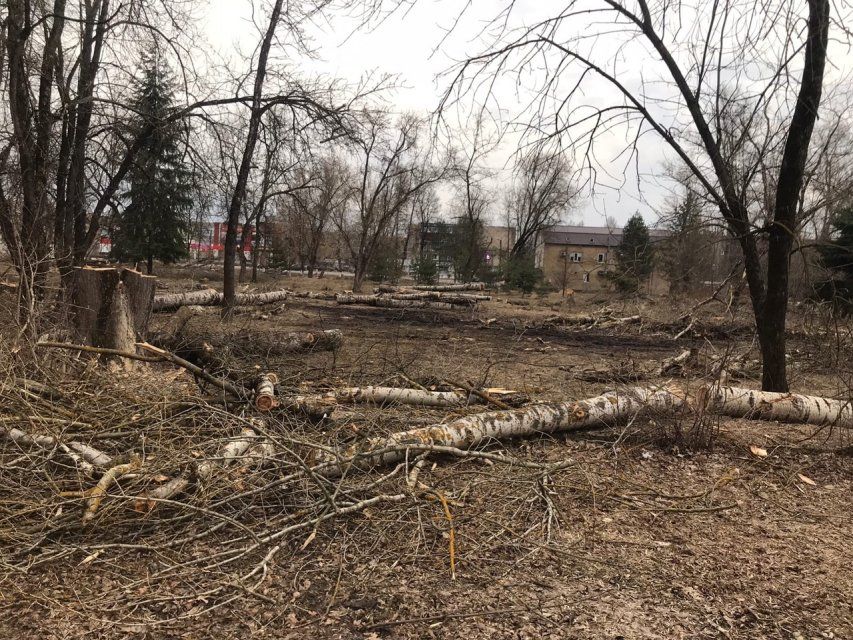 «Мы просто останемся с чистым полем вместо парка»: Жители Мценска обеспокоены происходящим ремонтом местного парка