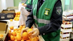 Россельхознадзор не пропустил на Орловщину 14 партий карантинной продукции 
