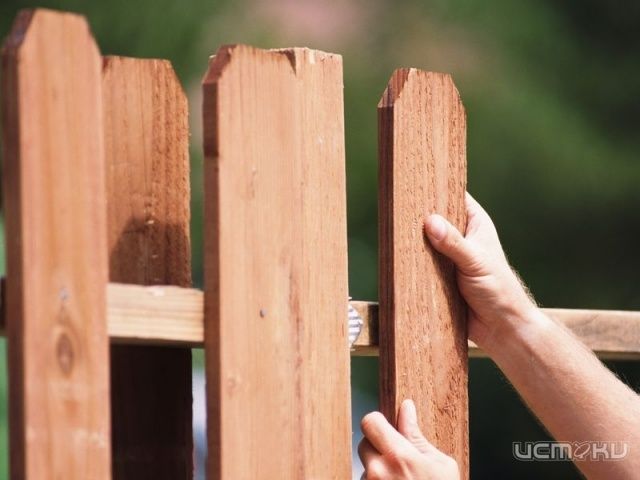 В праздничные выходные спасателям пришлось освобождать необычного пленника В праздничные выходные спасателям пришлось освобождать необычного пленника