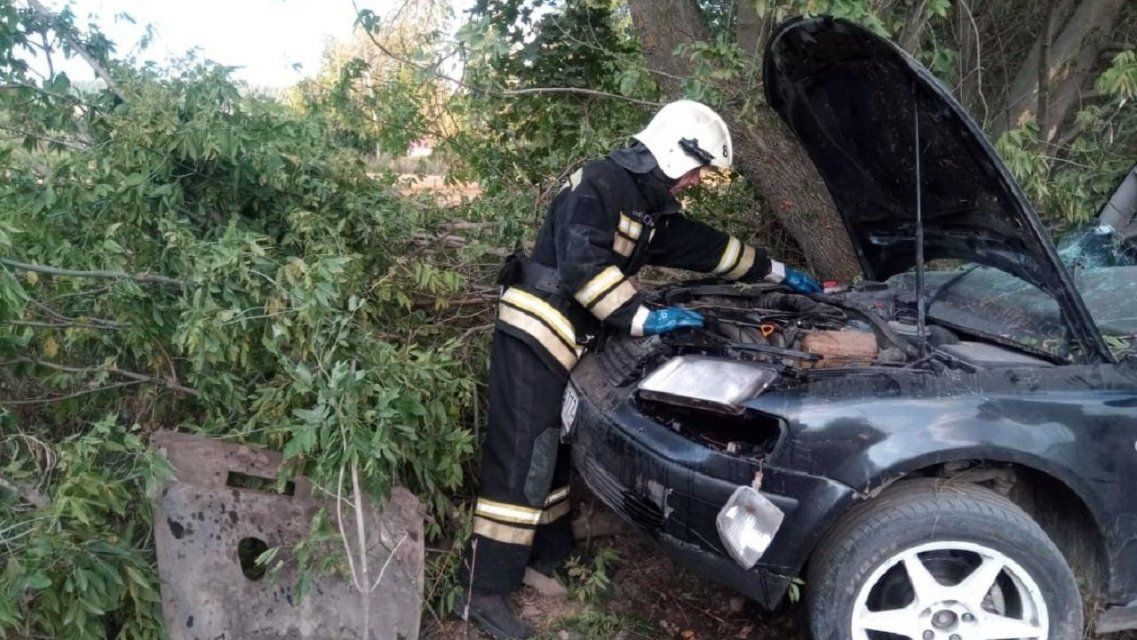 Врезался в дерево: авария под Ливнами унесла жизнь водителя иномарки