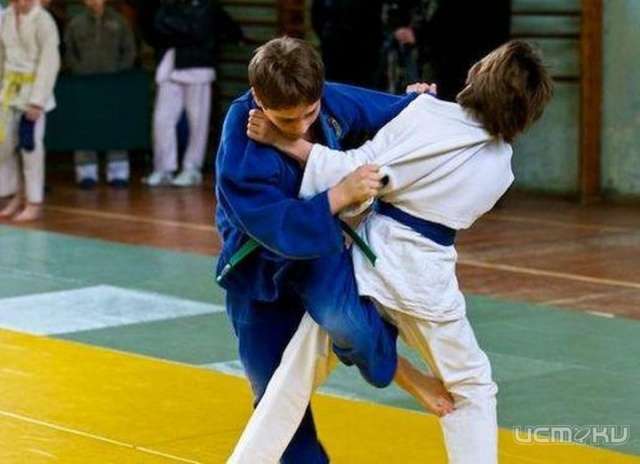 В Орле пройдет шестой Всероссийский турнир по дзюдо В Орле пройдет шестой Всероссийский турнир по дзюдо