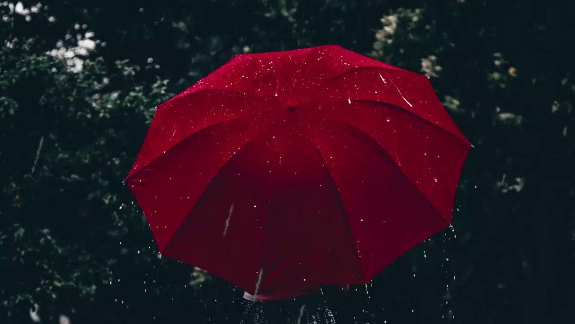 «Дождь по крышам...»: сегодня синоптики советуют орловчанам взять с собой зонты