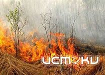 В Орловской области огонь уничтожил пшеницу В Орловской области огонь уничтожил пшеницу