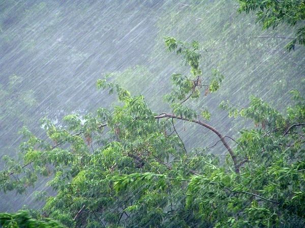На Орловщину надвигается шквалистый ветер с дождями