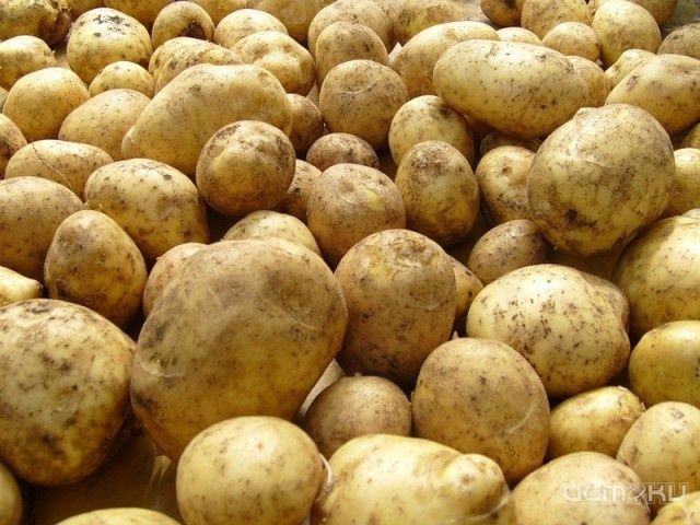В Орловской области подорожала капуста и картошка В Орловской области подорожала капуста и картошка