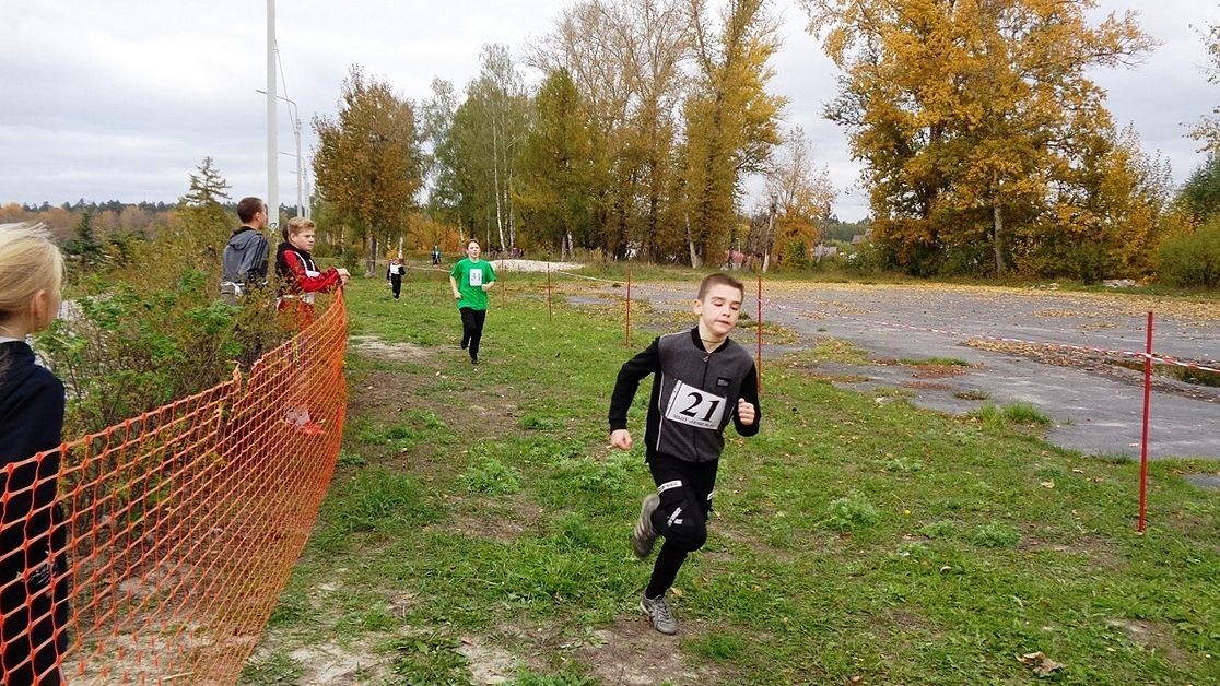 Впервые за 10 лет в Орловской области может пройти Спартакиада среди школьников
