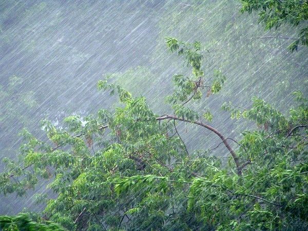 На Орловщину обрушатся вновь шквалистый ветер и дожди
