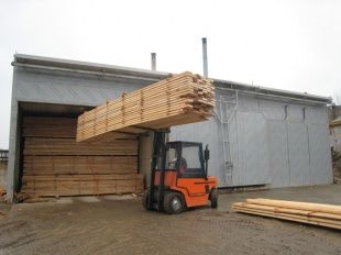 Директор Орловского лесопожарного центра за получение взятки при продаже древесины заплатит штраф