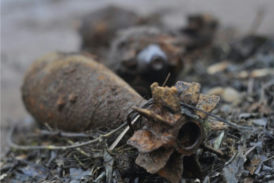 В выходные в Орловской области уничтожили более 20 боеприпасов со времен ВОВ