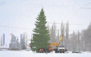 В Ливнах установили главную елку весом в две тонны