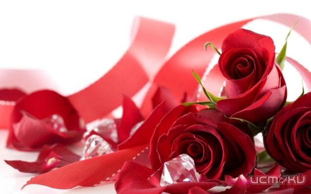 Сегодня не только День святого Валентина Сегодня не только День святого Валентина
