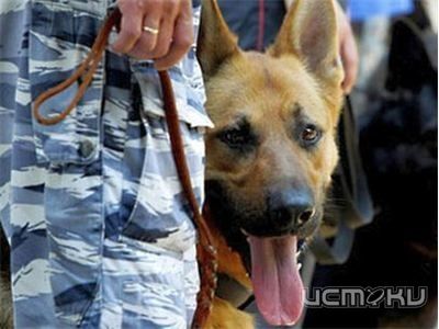 Орловские полицейские всю ночь искали пропавшего мальчика Орловские полицейские всю ночь искали пропавшего мальчика