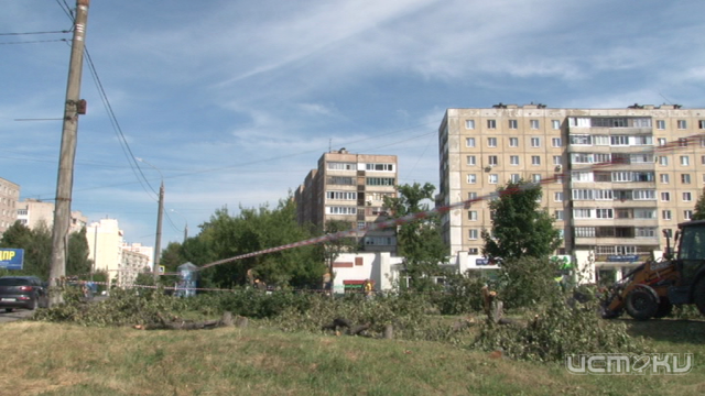 Мэрия прокомментировала вырубку фруктовых деревьев в сквере «Орлята» Мэрия прокомментировала вырубку фруктовых деревьев в сквере «Орлята»