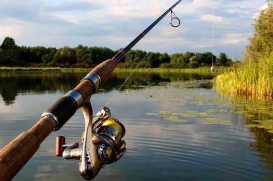 На орловских водоемах из-за нереста ввели ограничения на рыбалку