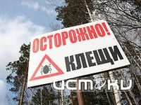 Более1,5 тысячи жителей Орловской области в этом году подверглись укусу клещей Более1,5 тысячи жителей Орловской области в этом году подверглись укусу клещей