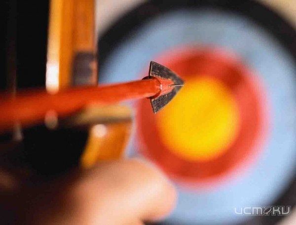 В Орле пройдут всероссийские соревнования по стрельбе из лука В Орле пройдут всероссийские соревнования по стрельбе из лука
