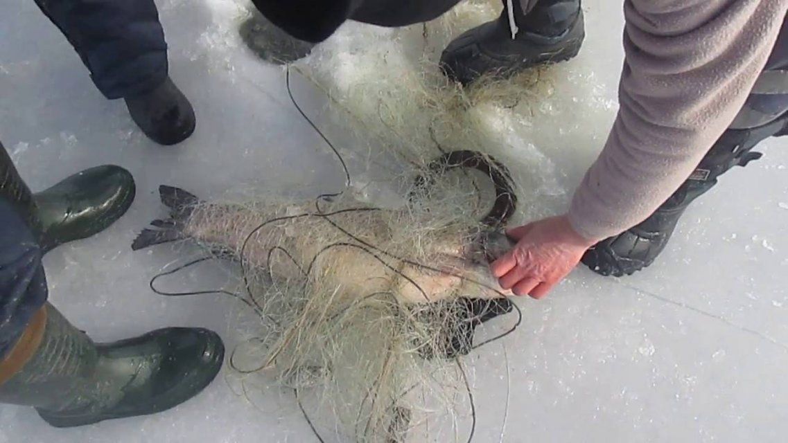 В Ливенском районе задержали двух рыбаков-браконьеров