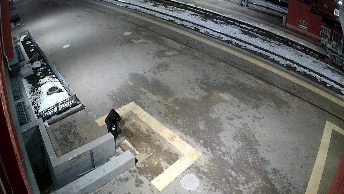 После кражи сумки в поезде житель Орловщины засветился на видео