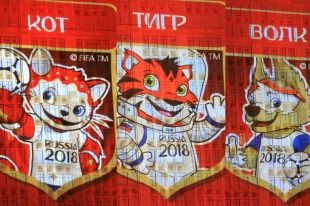 В России сегодня представят официальный талисман Чемпионата мира по футболу 2018 года