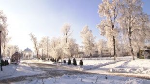 Зимняя сказка в Орле