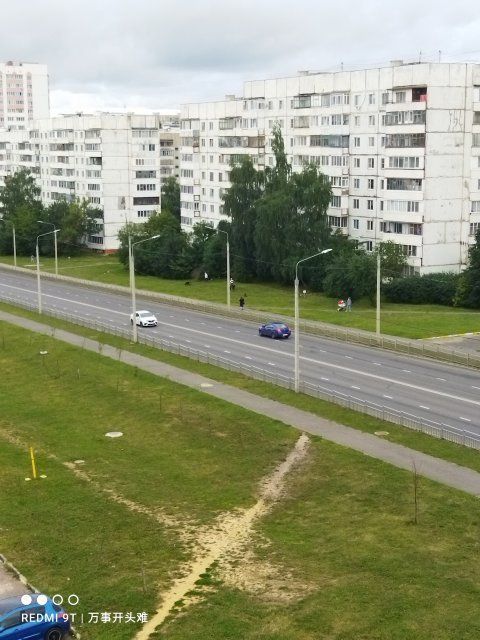 Жители ул. Раздольная в Орле страдают от нападок бродячих собак