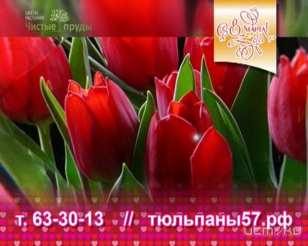 Что такое опрос 2018 Что такое опрос 2018