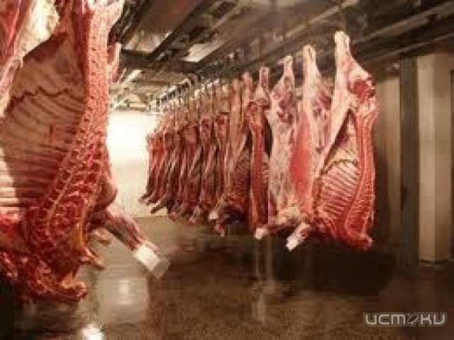 С мая 2014 года вступит в силу запрет на убой подворного скота для продажи С мая 2014 года вступит в силу запрет на убой подворного скота для продажи