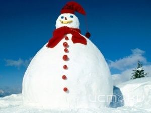 В Орле стартует фестиваль снеговиков В Орле стартует фестиваль снеговиков