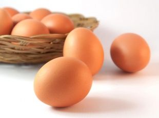 В «Обратной связи» орловчанам расскажут, как правильно хранить куриные яйца