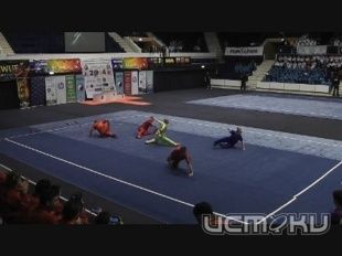 Чемпионат Европы имени орловских ушуистов Чемпионат Европы имени орловских ушуистов