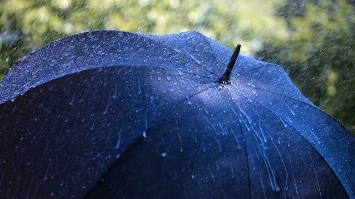 Пониженное атмосферное давление и дождь: погода в Орле на 29 ноября