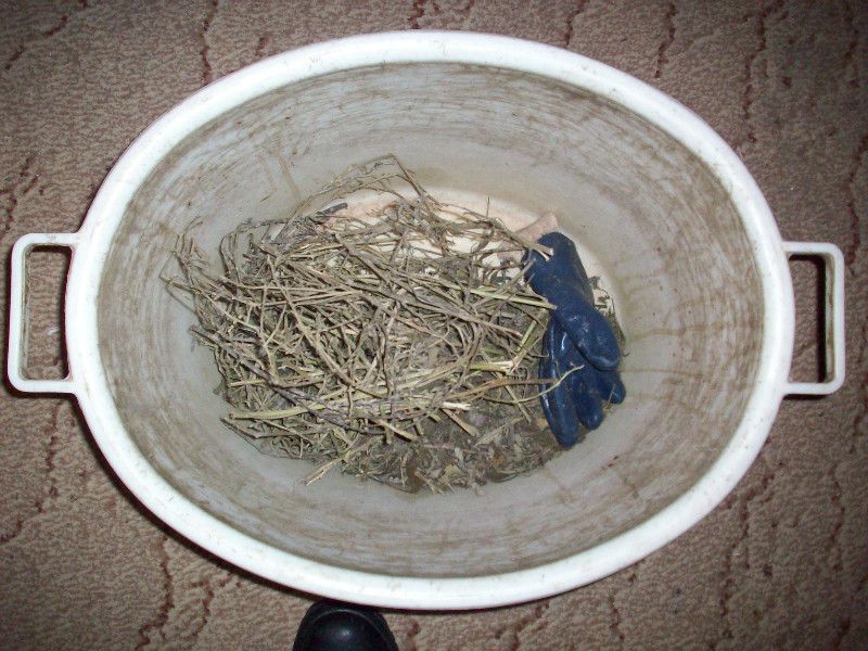 Искали сварочный аппарат, а нашли — марихуану Искали сварочный аппарат, а нашли — марихуану
