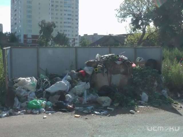 В Орле коммунальщики экономят на мусорных контейнерах В Орле коммунальщики экономят на мусорных контейнерах