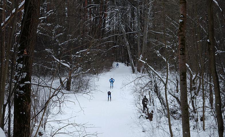 Орловские депутаты хотят вернуть лыжные трассы в Медведевский лес