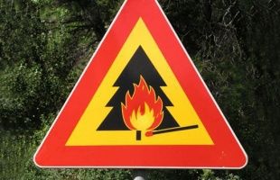В Ливнах и двух районах Орловщины ввели особый противопожарный режим